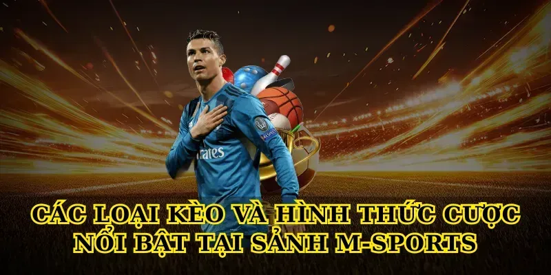 Các loại kèo và hình thức cược nổi bật tại Sảnh M-Sports