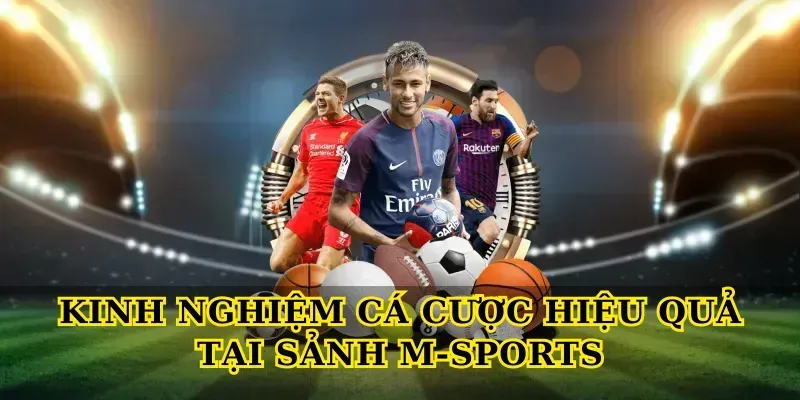 Kinh nghiệm cá cược hiệu quả tại Sảnh M-Sports