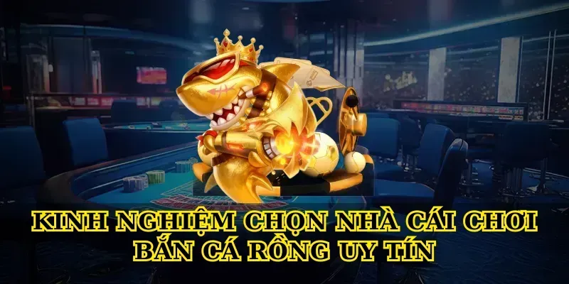 Kinh nghiệm chọn nhà cái chơi Bắn cá rồng uy tín