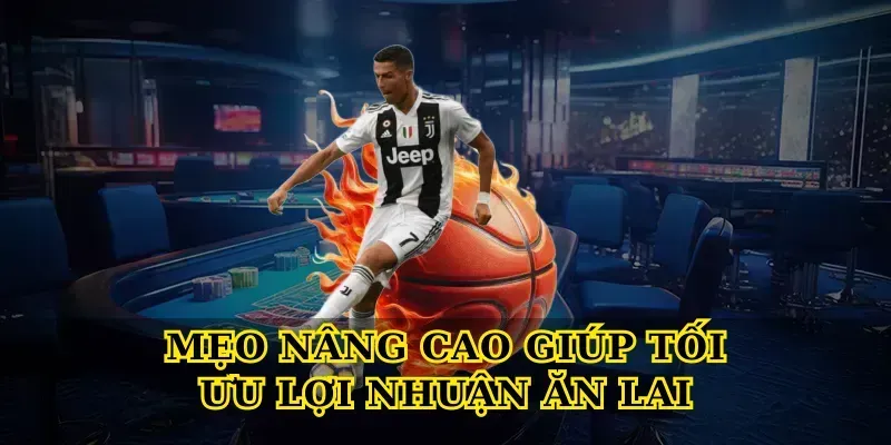 Mẹo Nâng Cao Giúp Tối Ưu Lợi Nhuận Ăn Lai