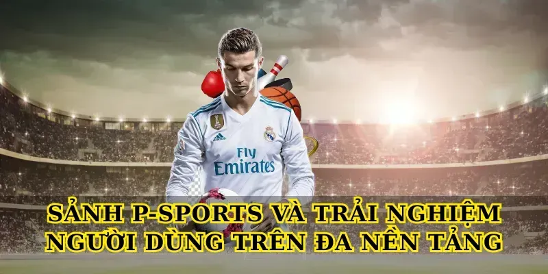 Sảnh P-Sports và trải nghiệm người dùng trên đa nền tảng