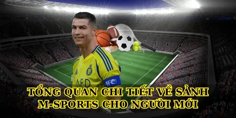 Tổng quan chi tiết về Sảnh M-Sports cho người mới
